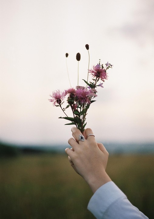 A hand with two rings holds a small bouquet of purple wildflowers against a pale sky and green field.