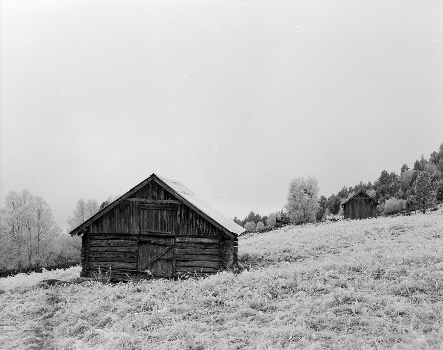 Two wooden cabins stand on a snow-covered hill with trees in the background.