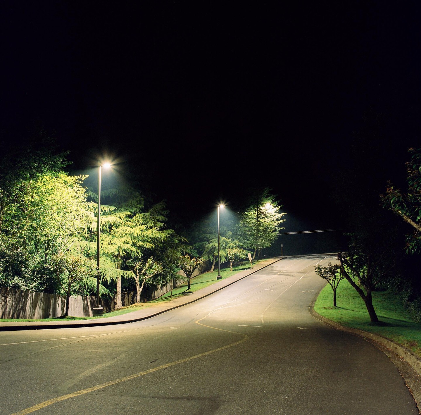 A winding road is illuminated by streetlights at night, with trees and grass lining the sides.