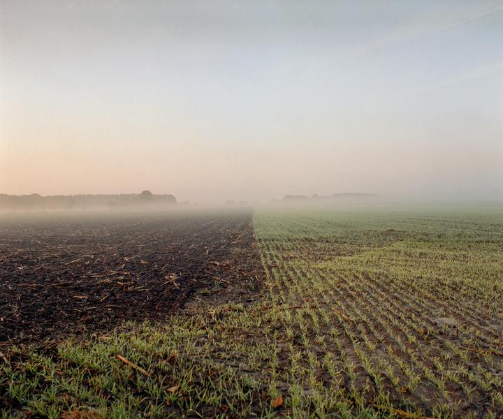 A field is divided between tilled soil and rows of green sprouts under a hazy sky.
