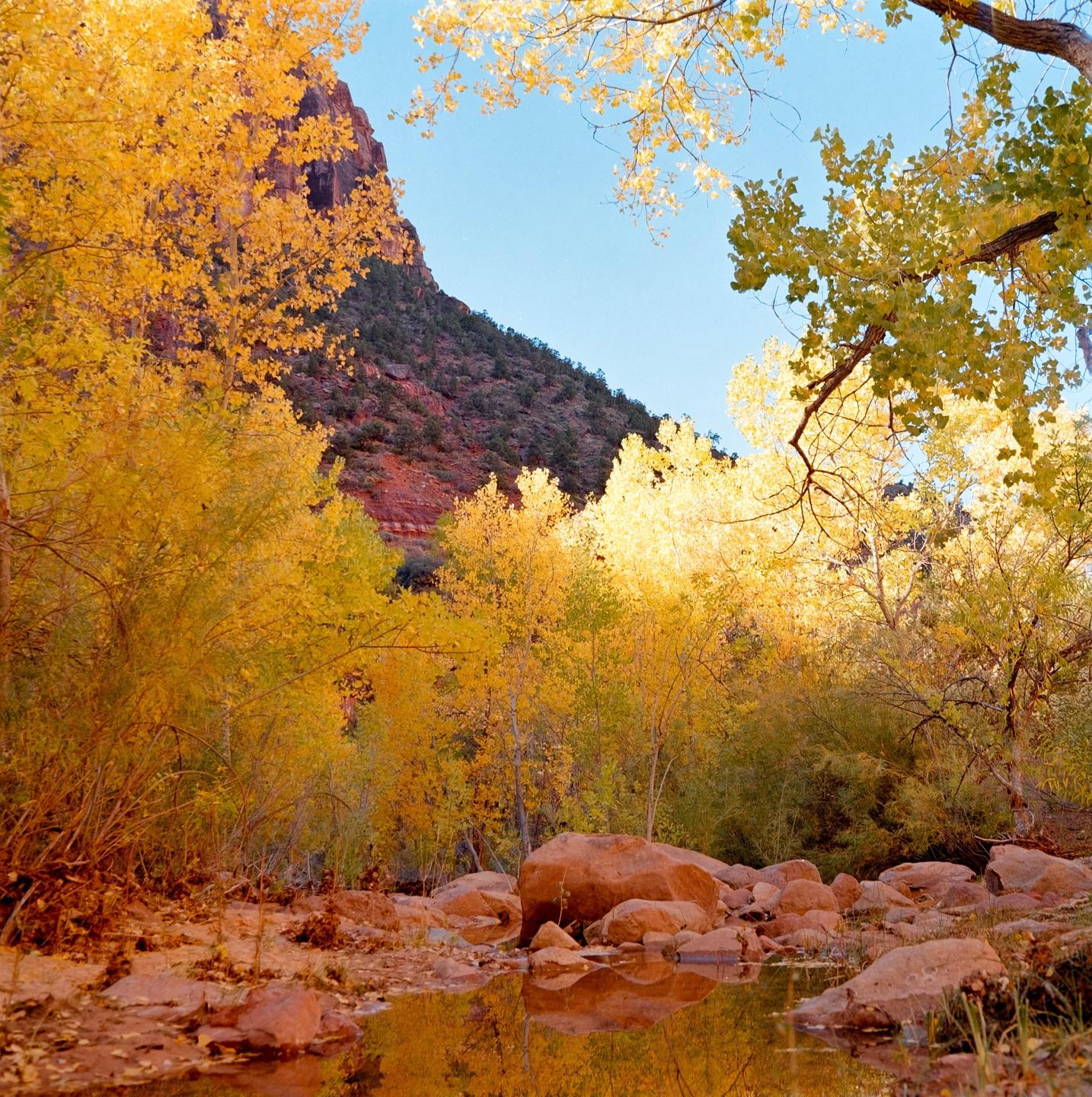 A stream with rocks and autumn foliage reflects the sky and mountains.