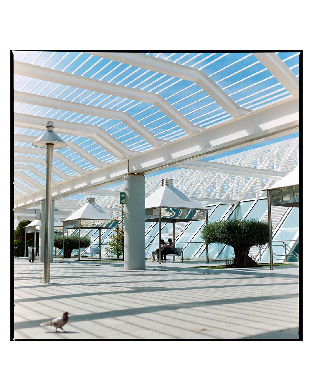 A pigeon walks on a paved area with long shadows from a modern white roof structure, with two people sitting on a bench in the background.