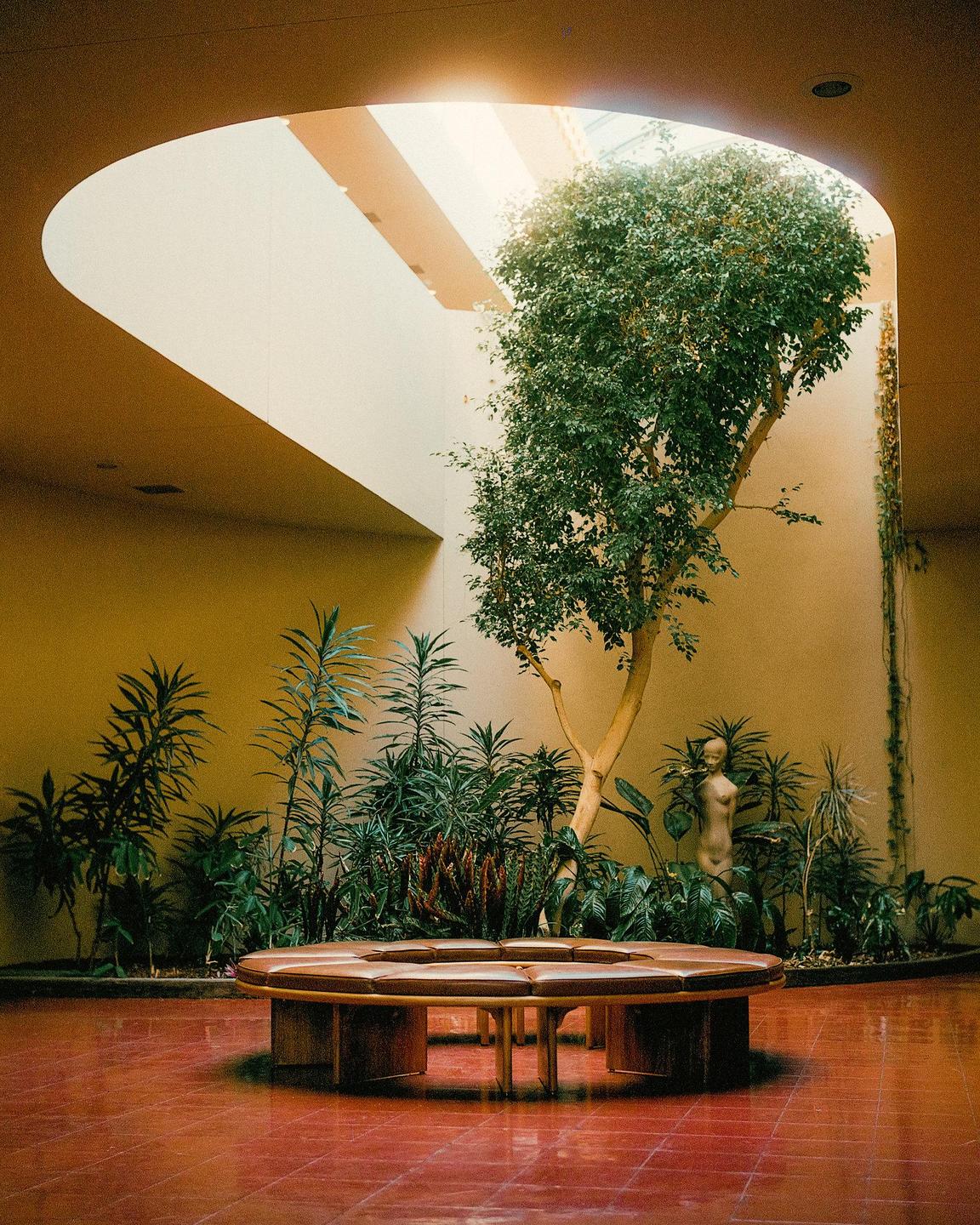 A large tree grows in an indoor atrium with a circular bench and a nude statue.
