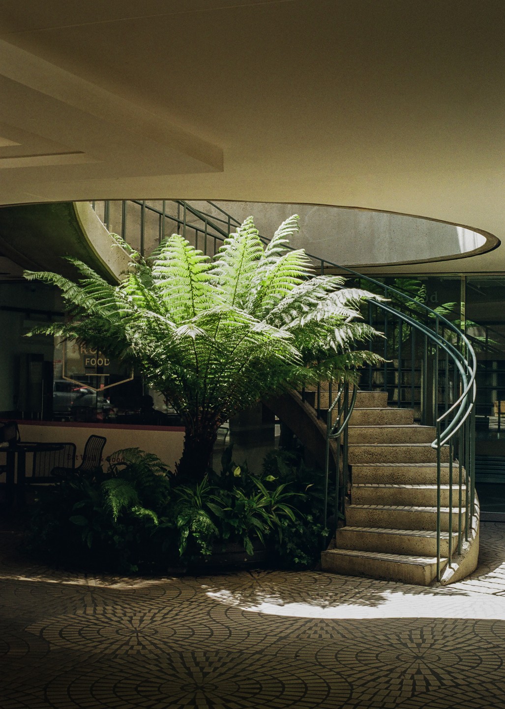 A large fern plant sits at the base of a spiral staircase with a patterned floor.