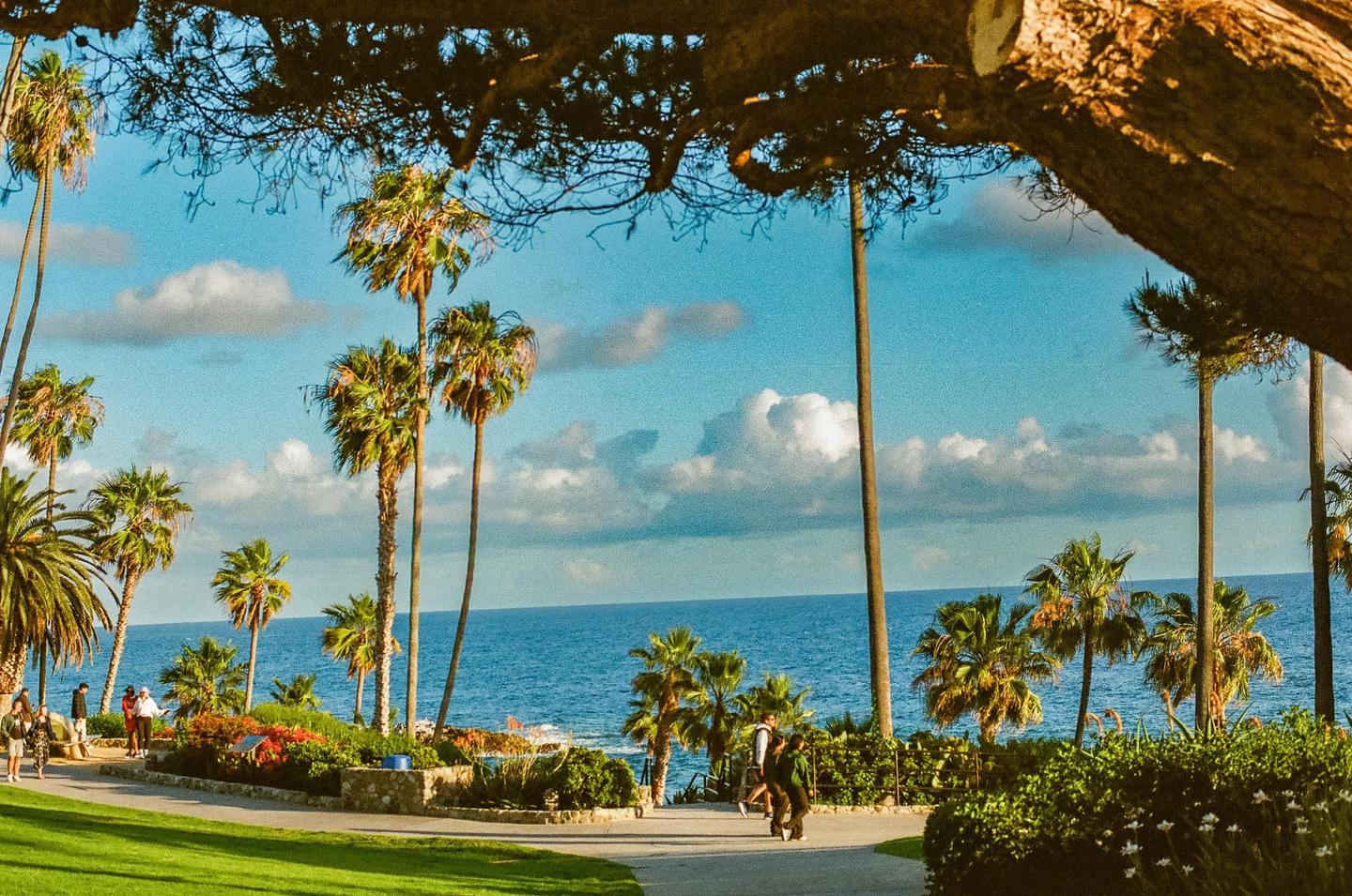 A coastal park with palm trees and people walking along a path overlooks the ocean under a blue sky with clouds.