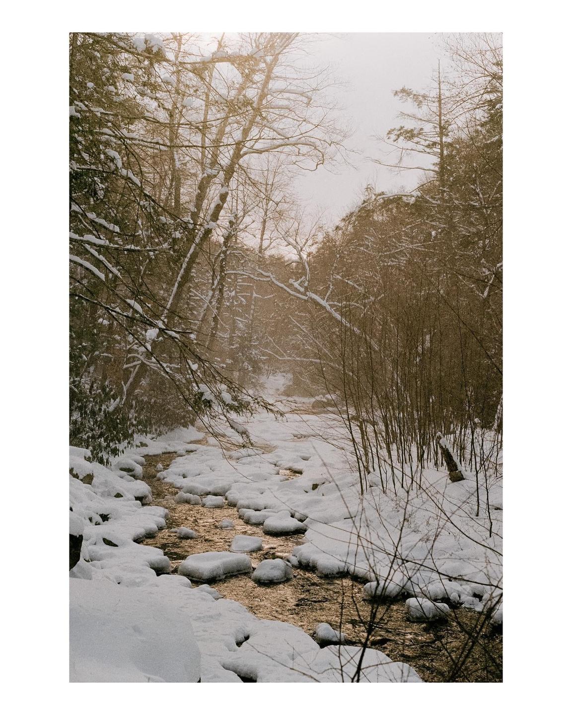 A snowy forest with a stream flowing through it is visible.