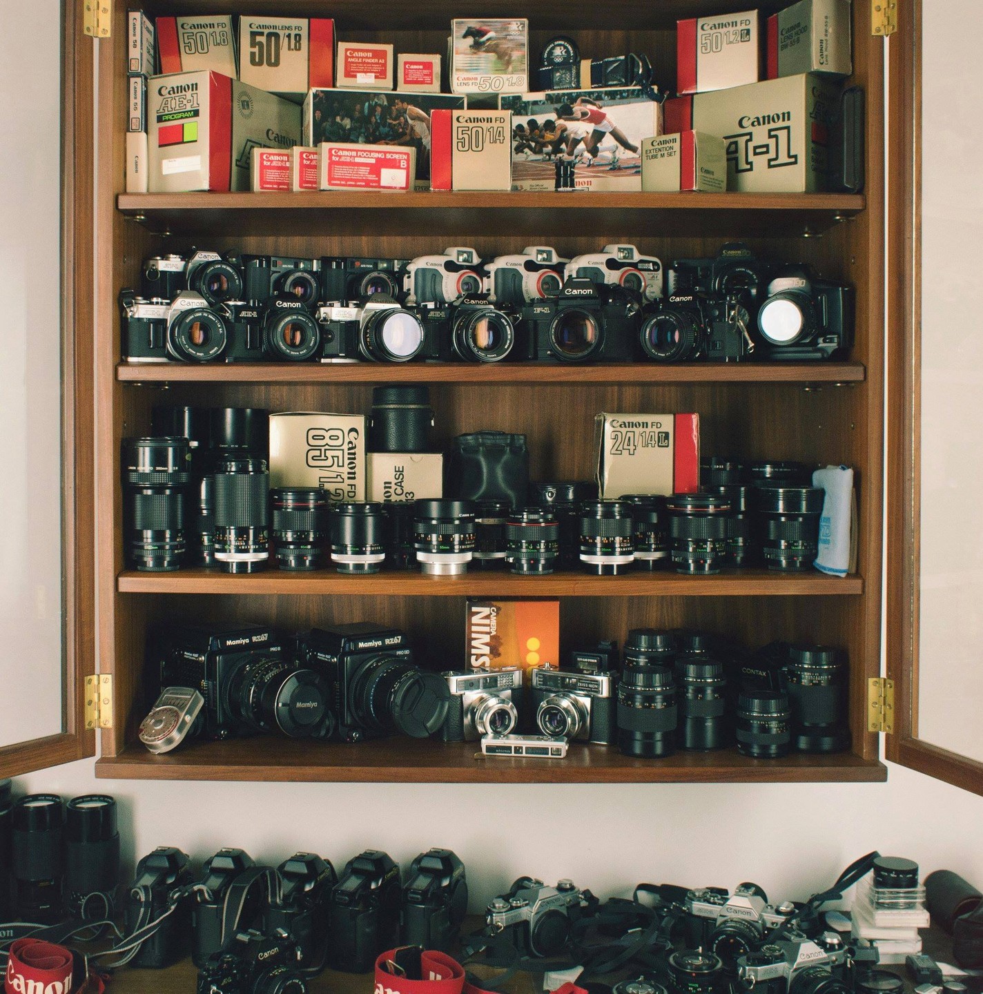 A large collection of cameras, lenses, and camera accessories are displayed on shelves and a table.