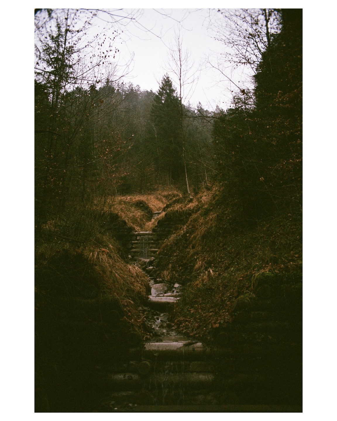 A small stream flows down a stepped channel through a wooded area with dry grass and bare trees.