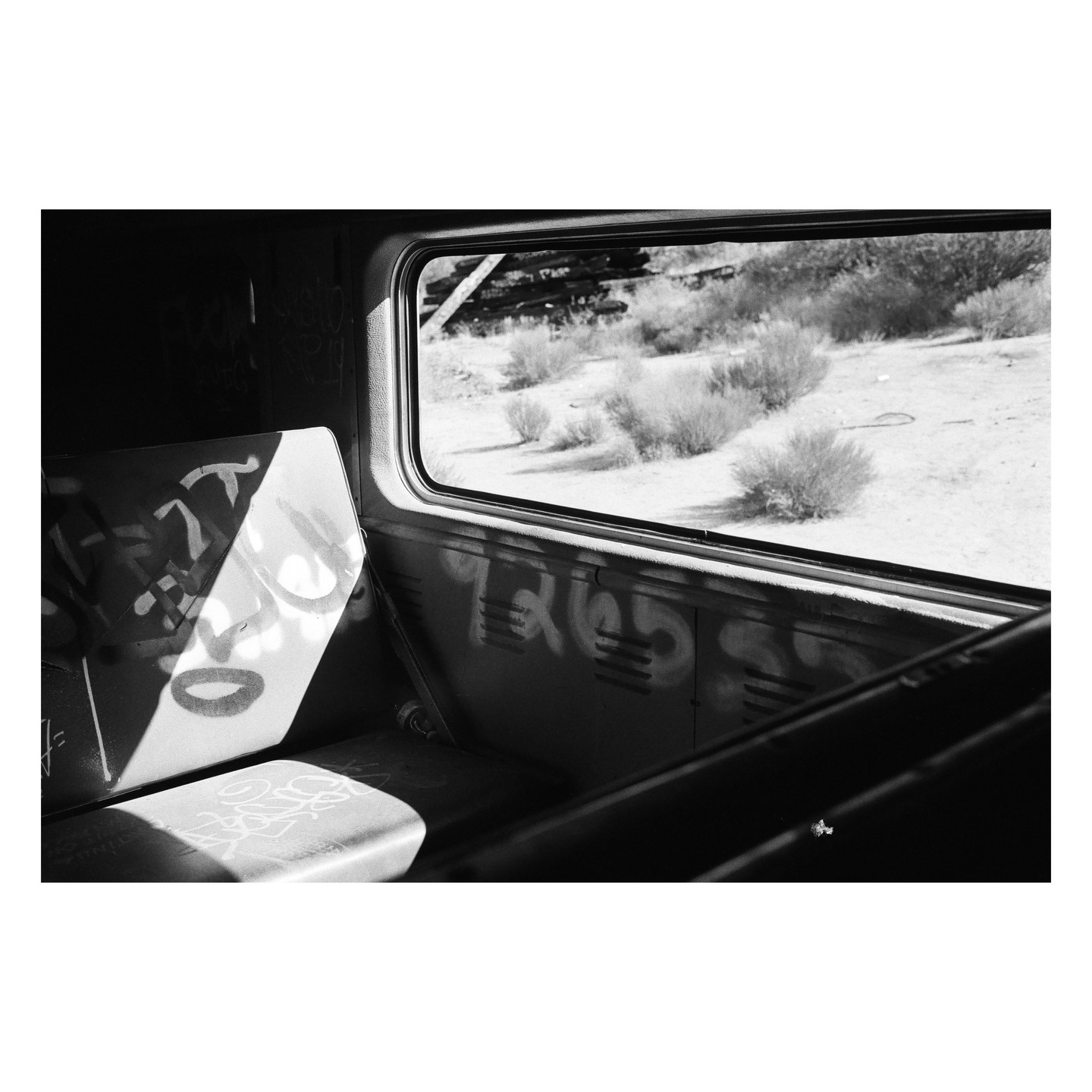 Sunlight illuminates a graffiti-covered seat inside a train car, with a desert landscape visible through the window.