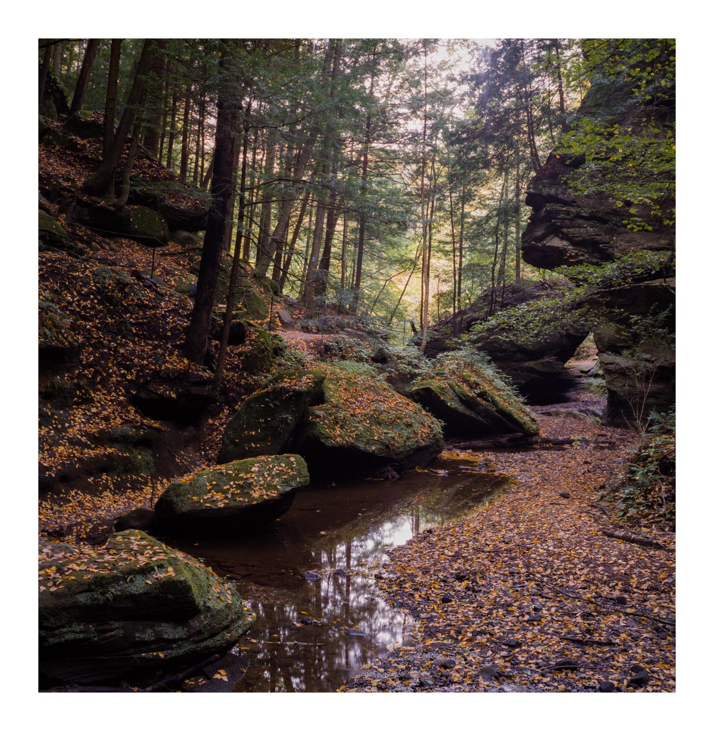 A stream flows through a forest with mossy boulders and autumn foliage.