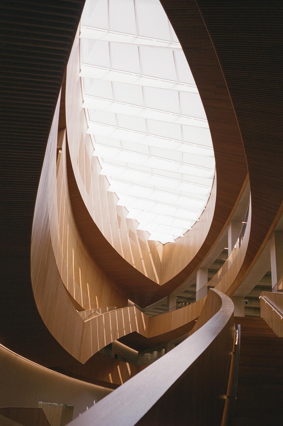 A modern building interior features curved wooden walls and staircases under a large, bright skylight.