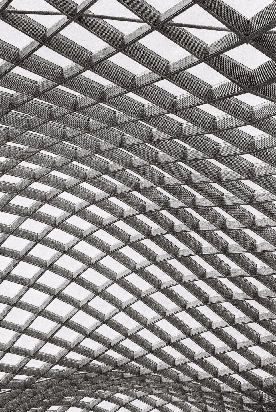 A grid of rectangular skylights forms a curved ceiling.