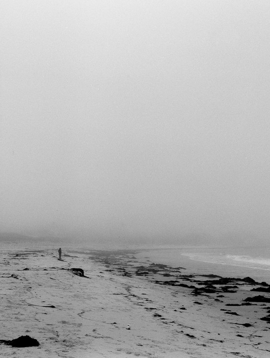 A lone figure stands on a foggy beach next to the ocean.
