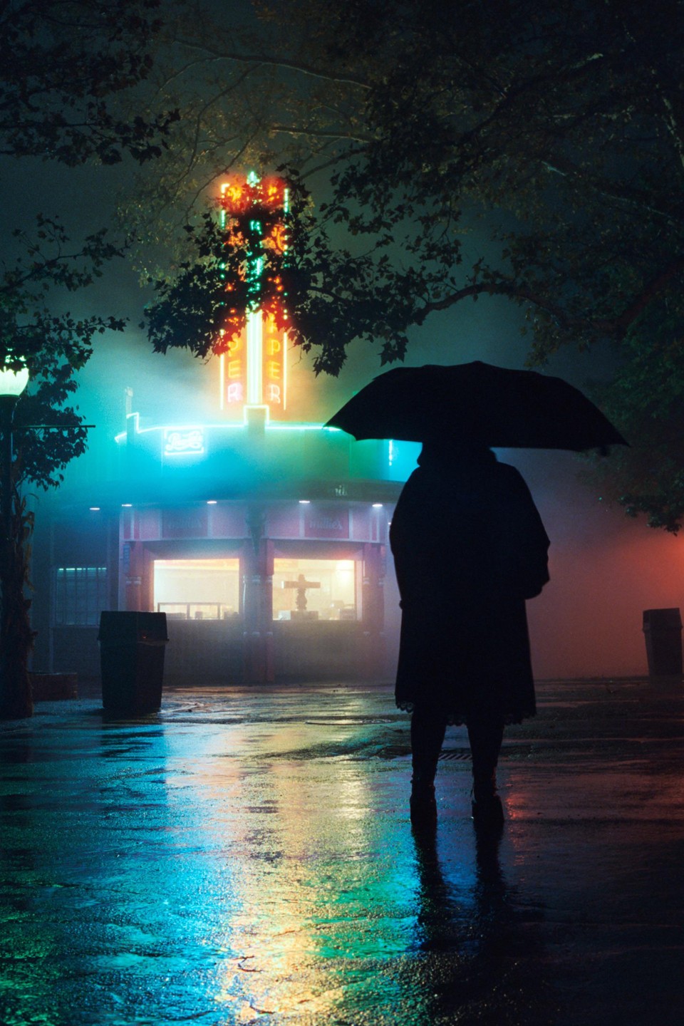 A person holding an umbrella stands on a wet street at night, with neon signs and trees in the background.