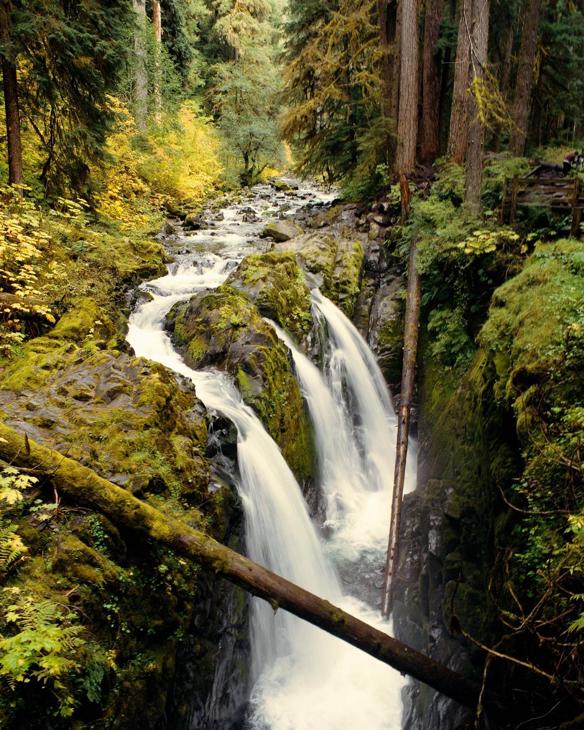 A river flows through a forest with waterfalls and moss-covered rocks.