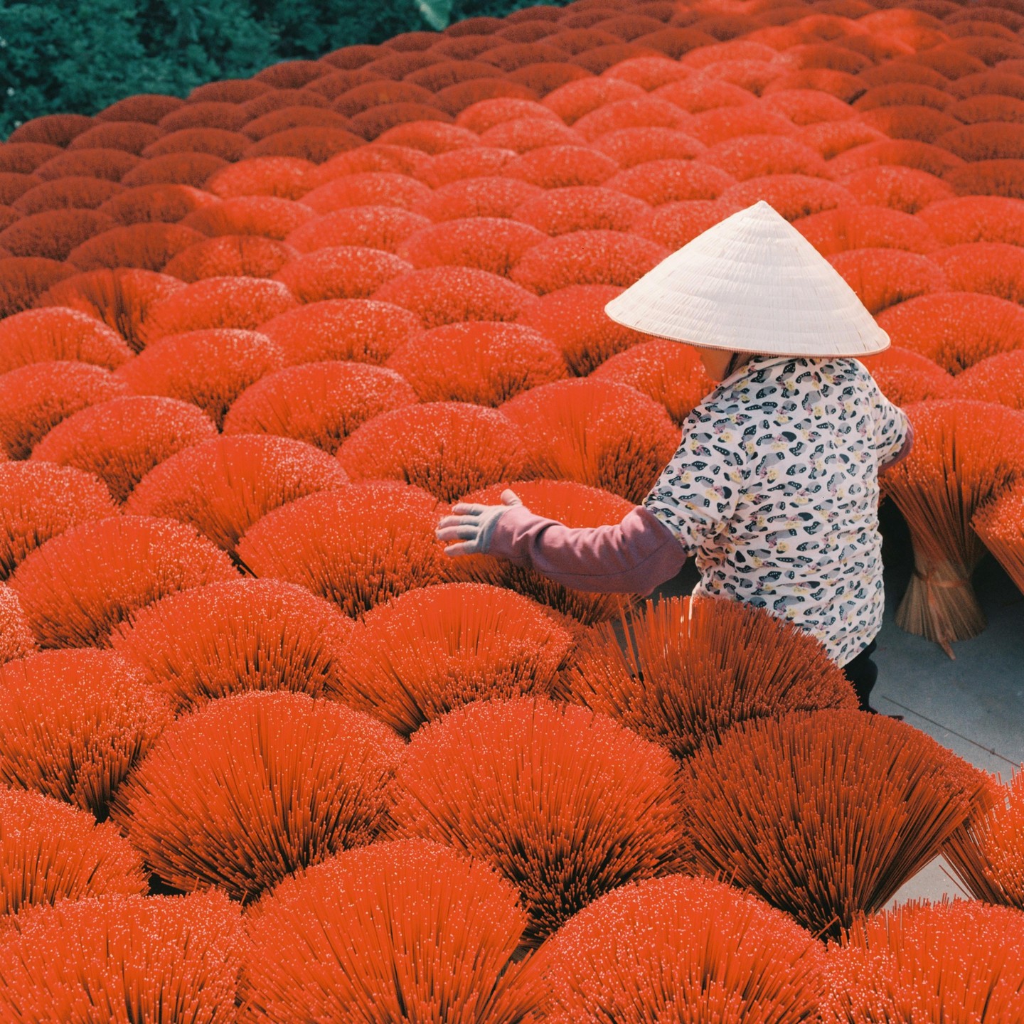 A person wearing a conical hat stands among many bundles of red incense sticks.