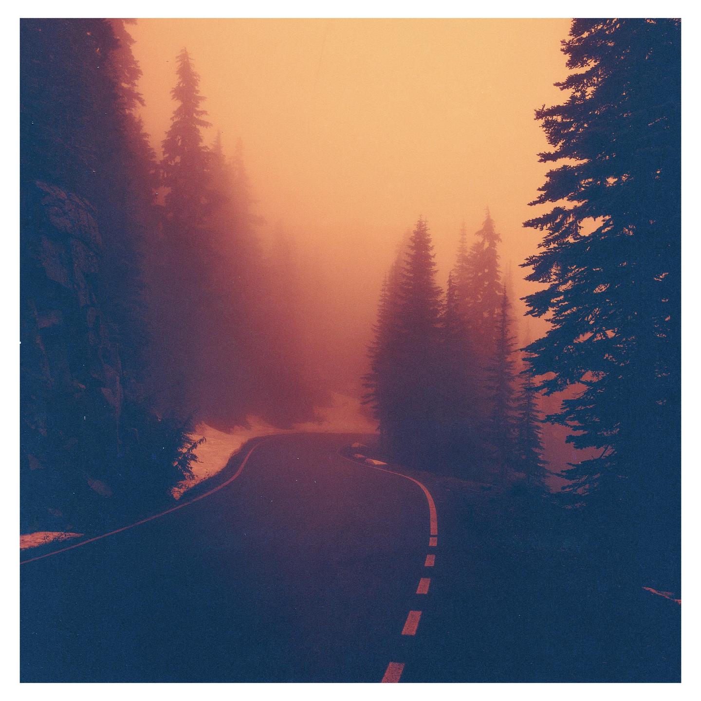 A winding road leads through a foggy forest with an orange glow.