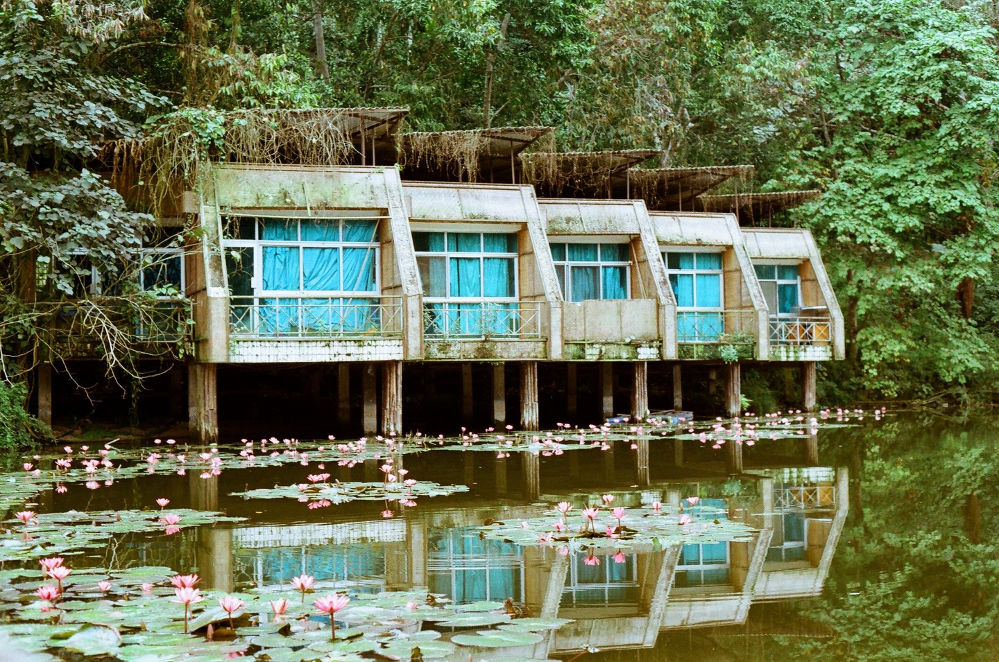 A row of abandoned buildings with blue curtains is reflected in a pond filled with water lilies.