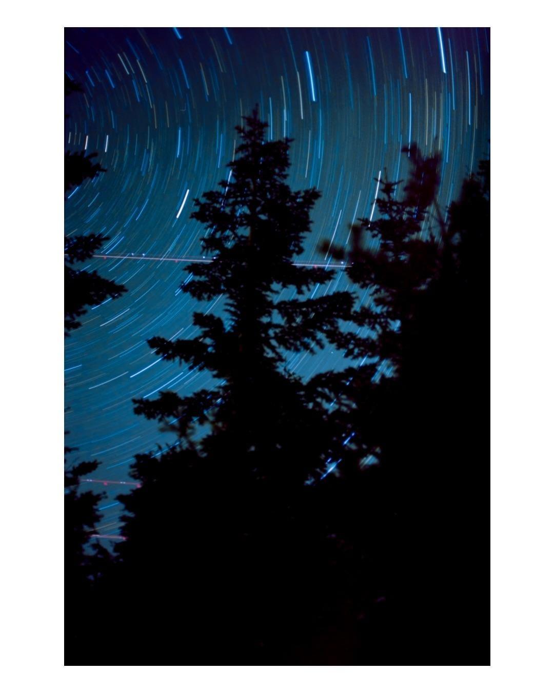Silhouetted trees stand against a night sky filled with star trails.