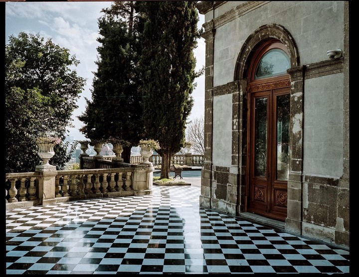 A checkered patio with a stone balustrade and a wooden door is surrounded by tall trees.