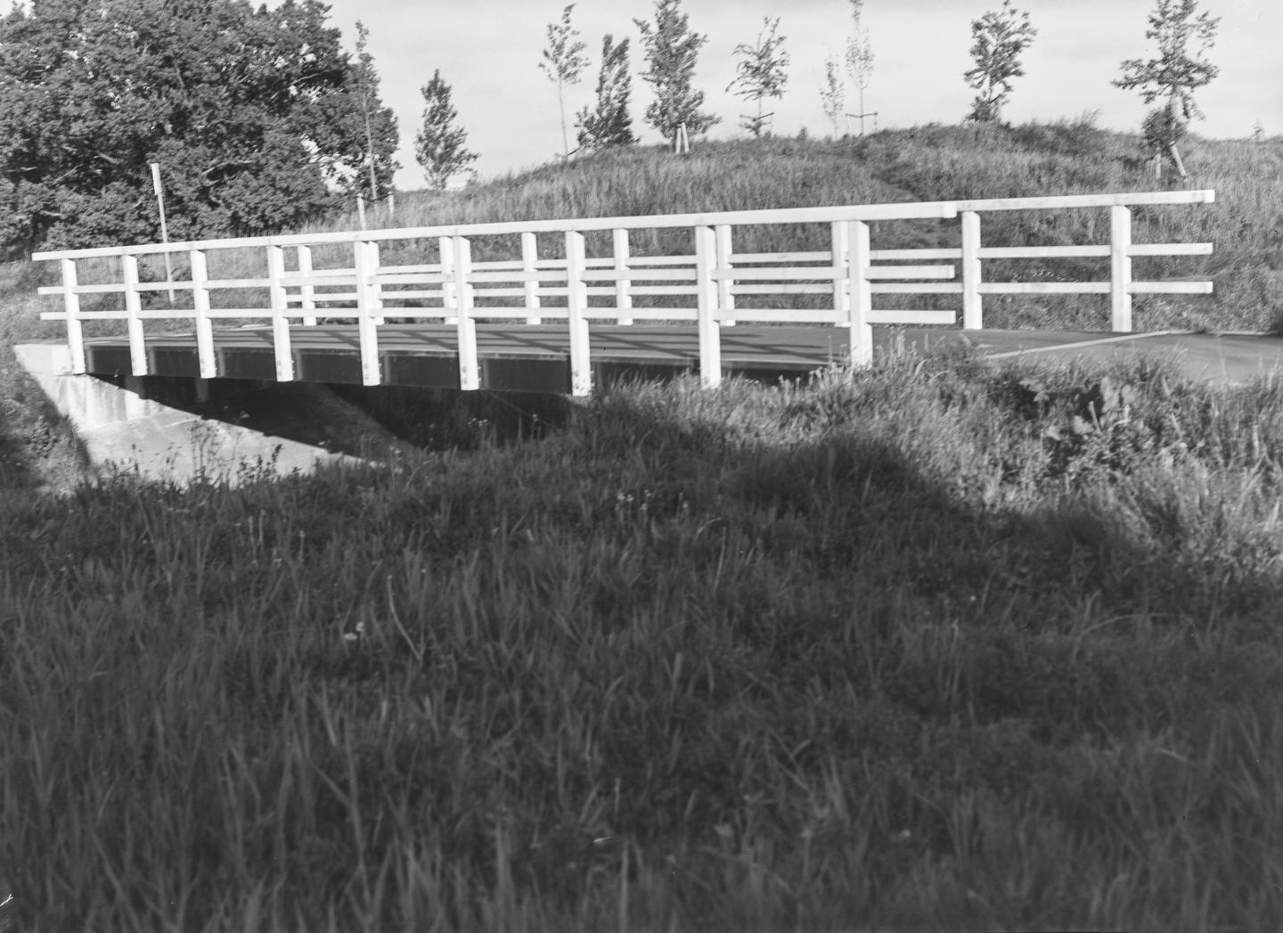 A white wooden bridge crosses over a grassy area with trees in the background.