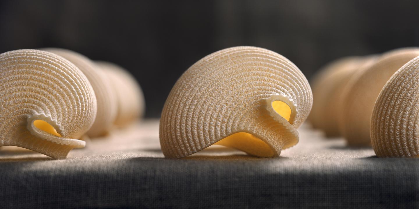 Several pieces of lumaconi pasta are arranged in a row on a textured surface.