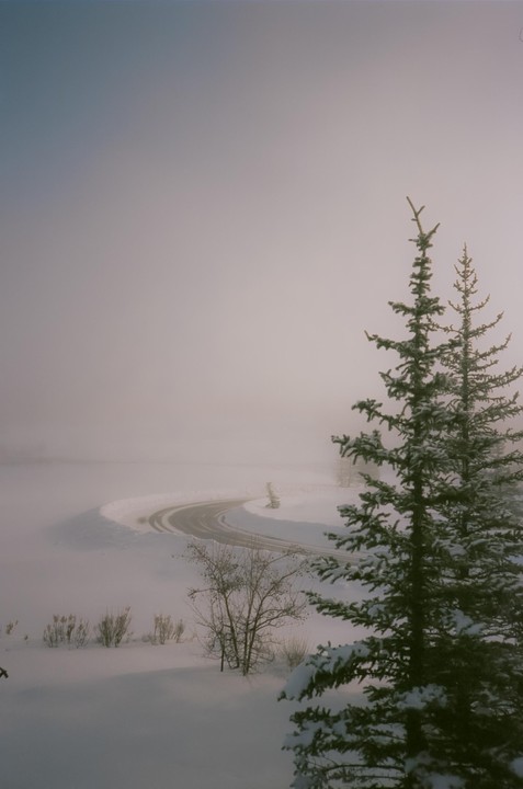 A winding road is visible through a foggy, snow-covered landscape with evergreen trees in the foreground.