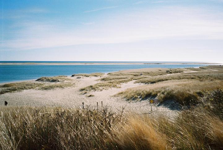 A sandy beach with tall grass and dunes stretches towards a body of water under a clear sky.