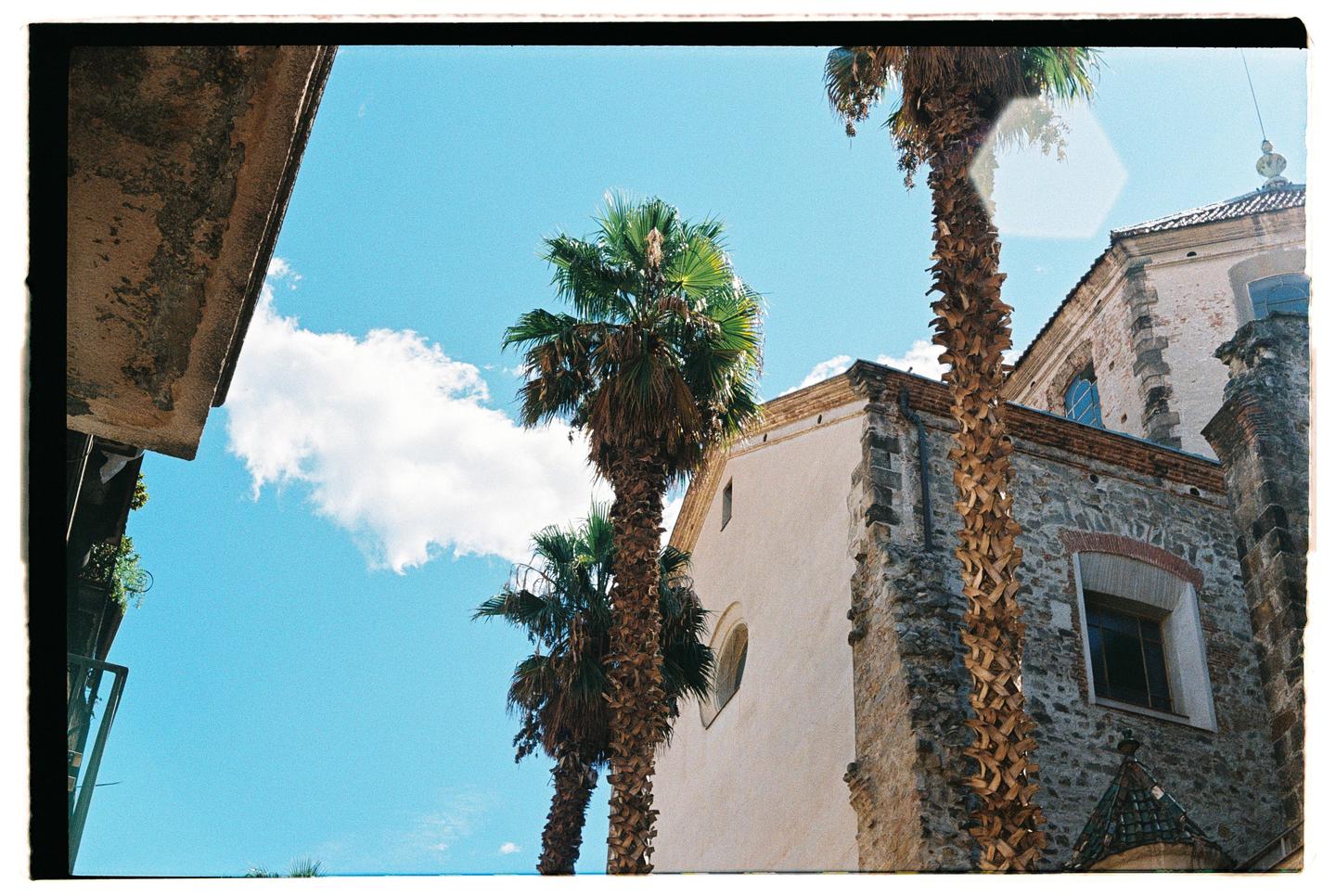 Palm trees stand tall against a bright blue sky with a white cloud, next to old stone and stucco buildings.