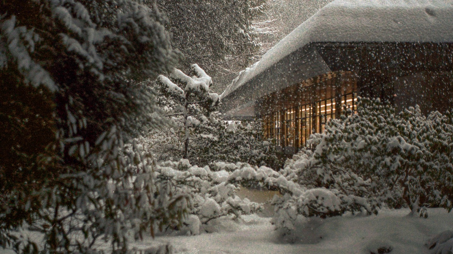 A building with illuminated windows is surrounded by snow-covered bushes and trees during a snowfall at night.