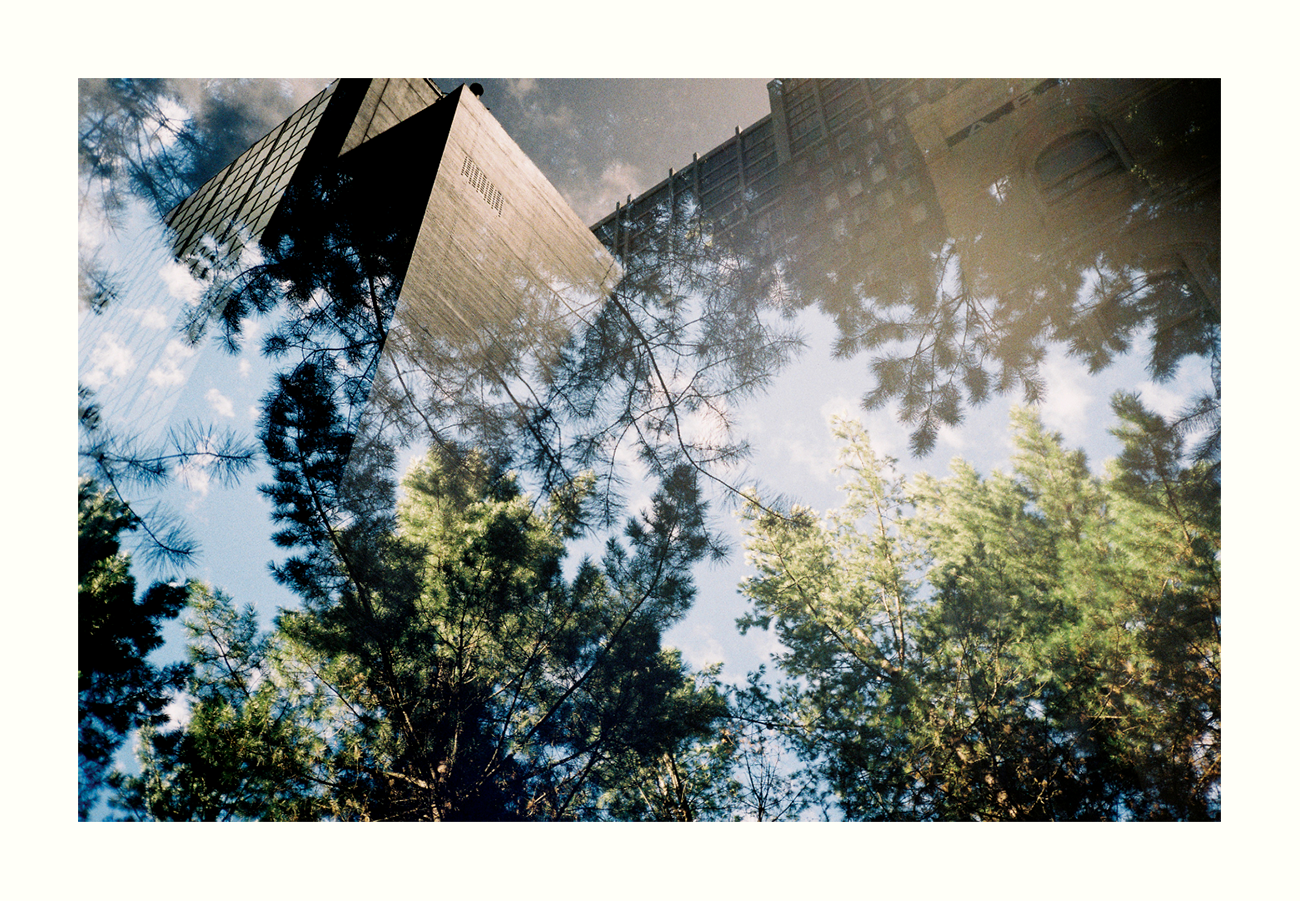 A double exposure shows pine trees in the foreground with buildings and sky in the background.