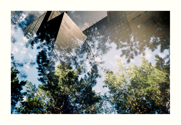 A double exposure shows pine trees in the foreground with buildings and sky in the background.