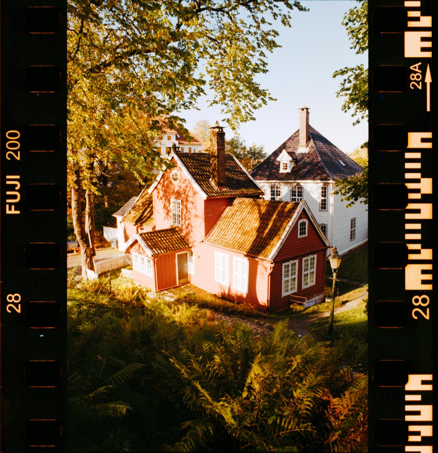 Three houses, two red and one white, are nestled among trees and ferns under a clear sky.