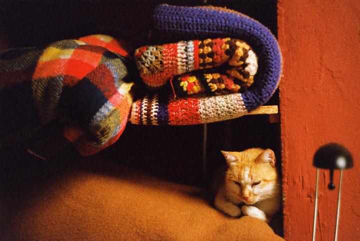An orange cat rests on a brown blanket next to a stack of colorful knitted blankets.