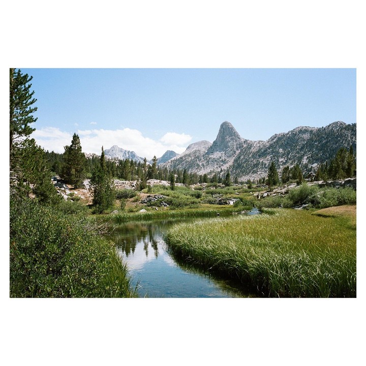 A winding stream flows through a grassy meadow with pine trees and mountains under a clear sky.