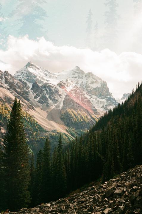 A double exposure shows a snow-capped mountain peak above a forest with a faint overlay of pine trees.