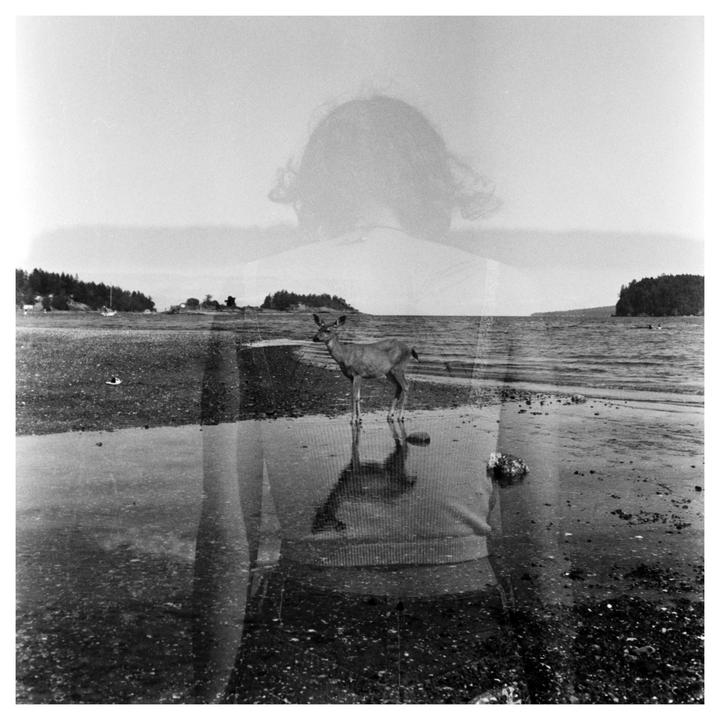 A double exposure shows a deer standing in shallow water on a beach, superimposed with the faint image of a person from the shoulders up.