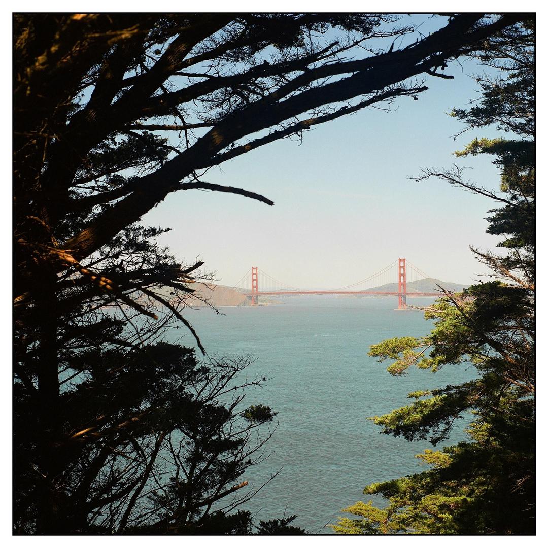Golden Gate Peekaboo - Fuji Pro400h - Zeiss Super Ikonta 532/16, shot on ZEISS IKON SUPER IKONTA 532/16
