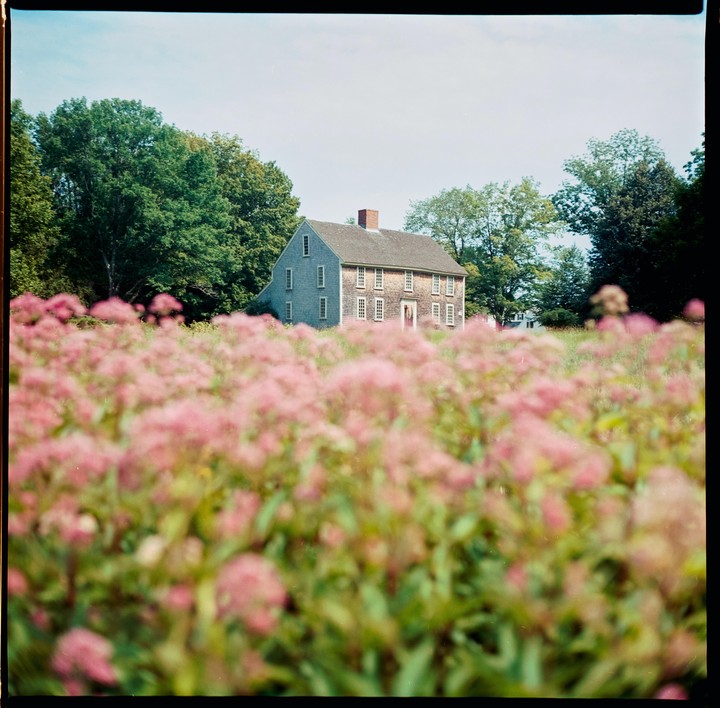 A large house with a red door is visible behind a field of pink flowers.