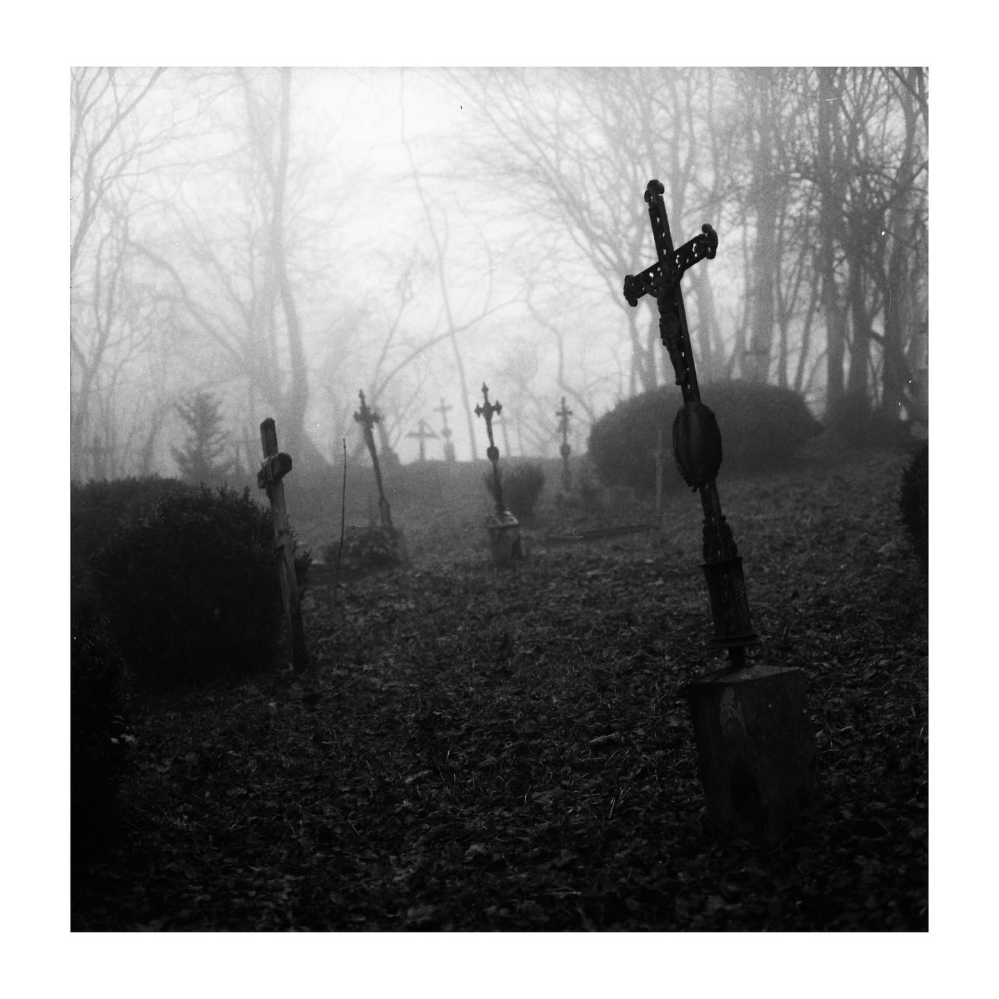 A graveyard with several crosses and bare trees is shrouded in fog.