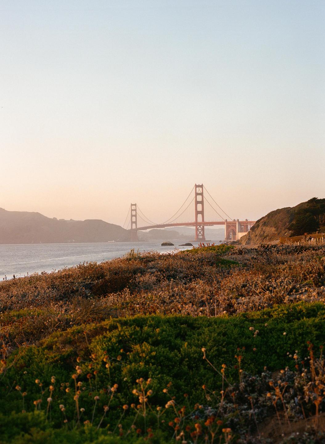 The Golden Gate Bridge is visible in the distance over a body of water, with a hillside covered in dry brush and green shrubs in the foreground.