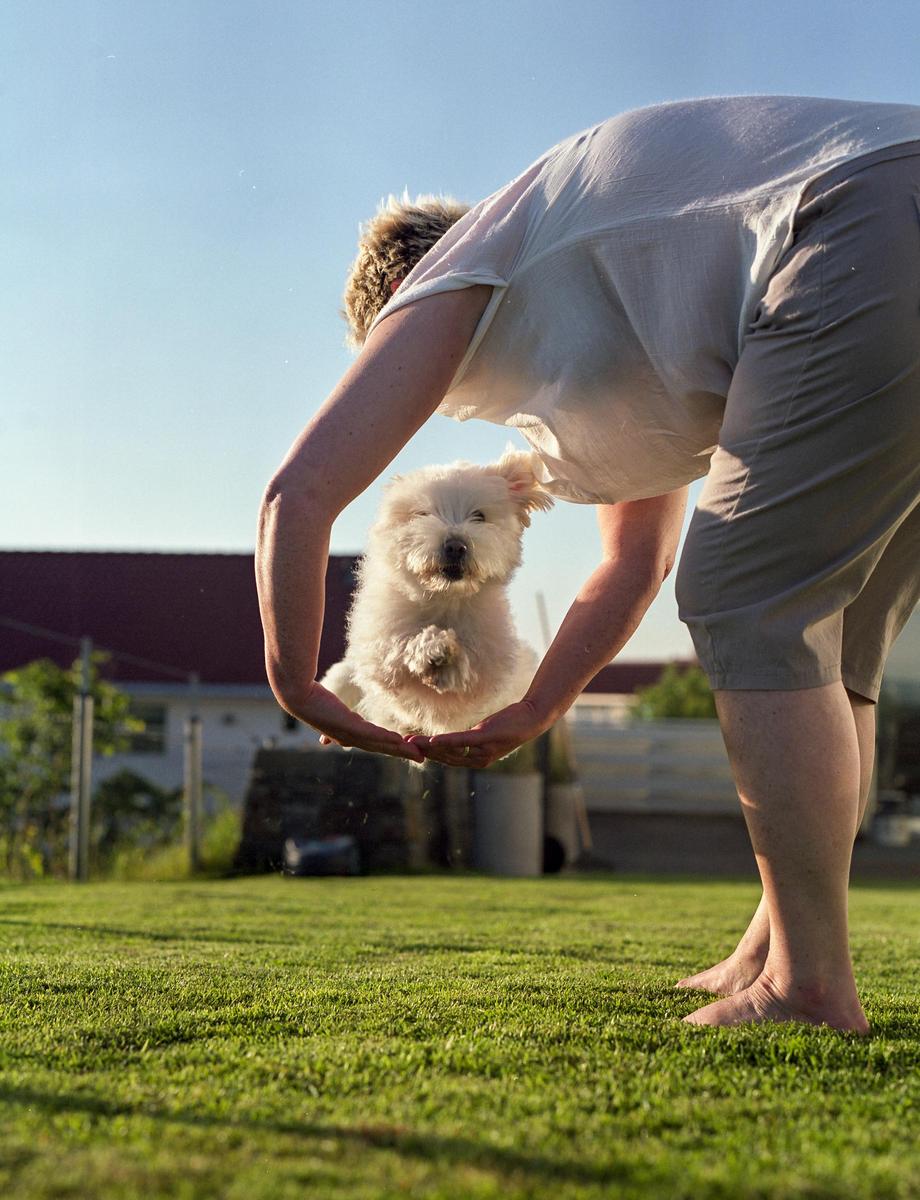 A person holds a small white dog in their hands above a grassy lawn.