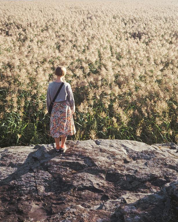 A woman stands on a rock overlooking a field of tall grass.