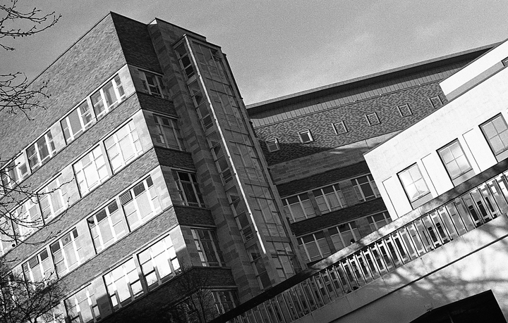 A tall building with many windows is shown from a low angle, with a bare tree branch in the upper left corner.