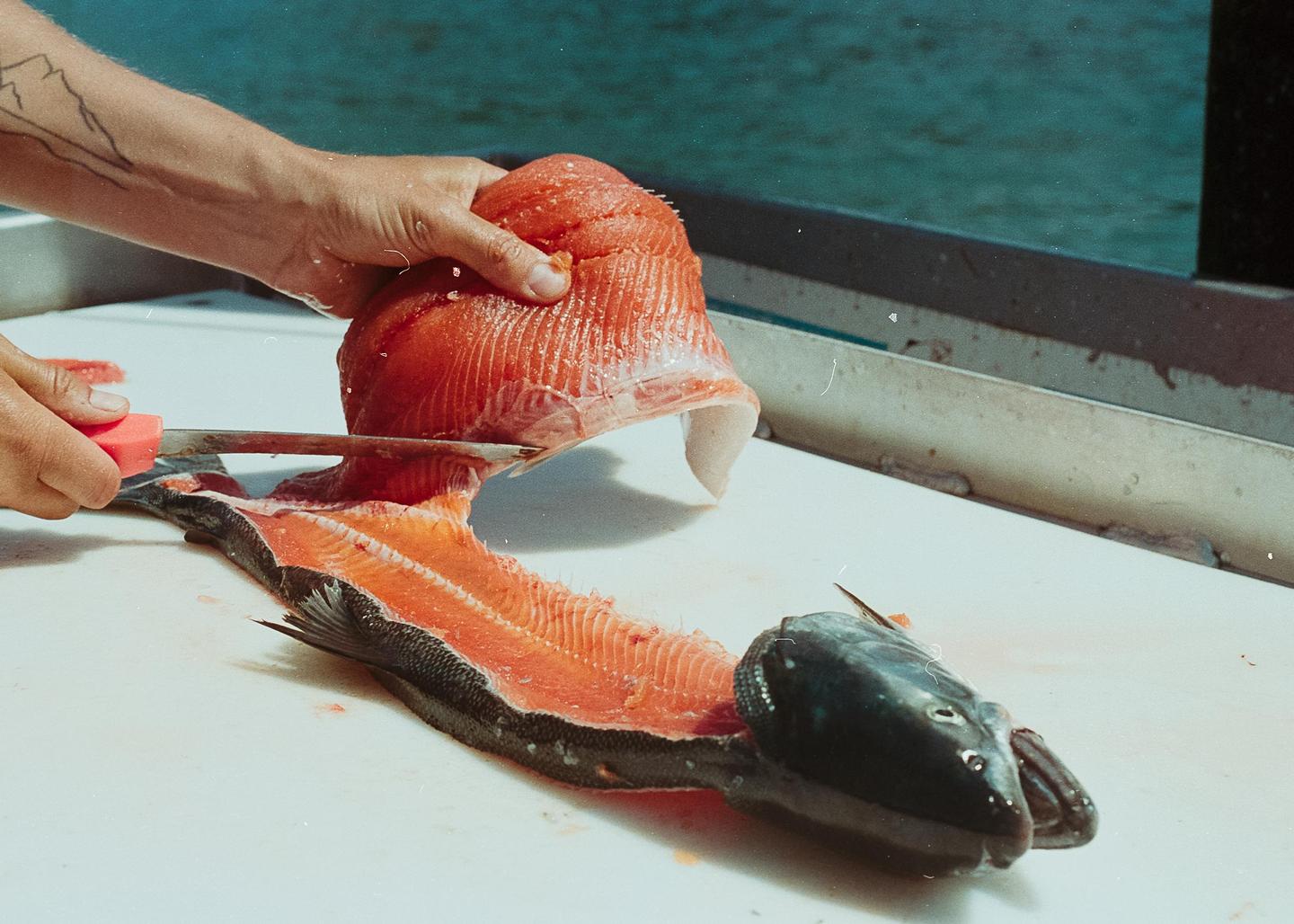 A person's hands fillet a fish on a white surface with water in the background.