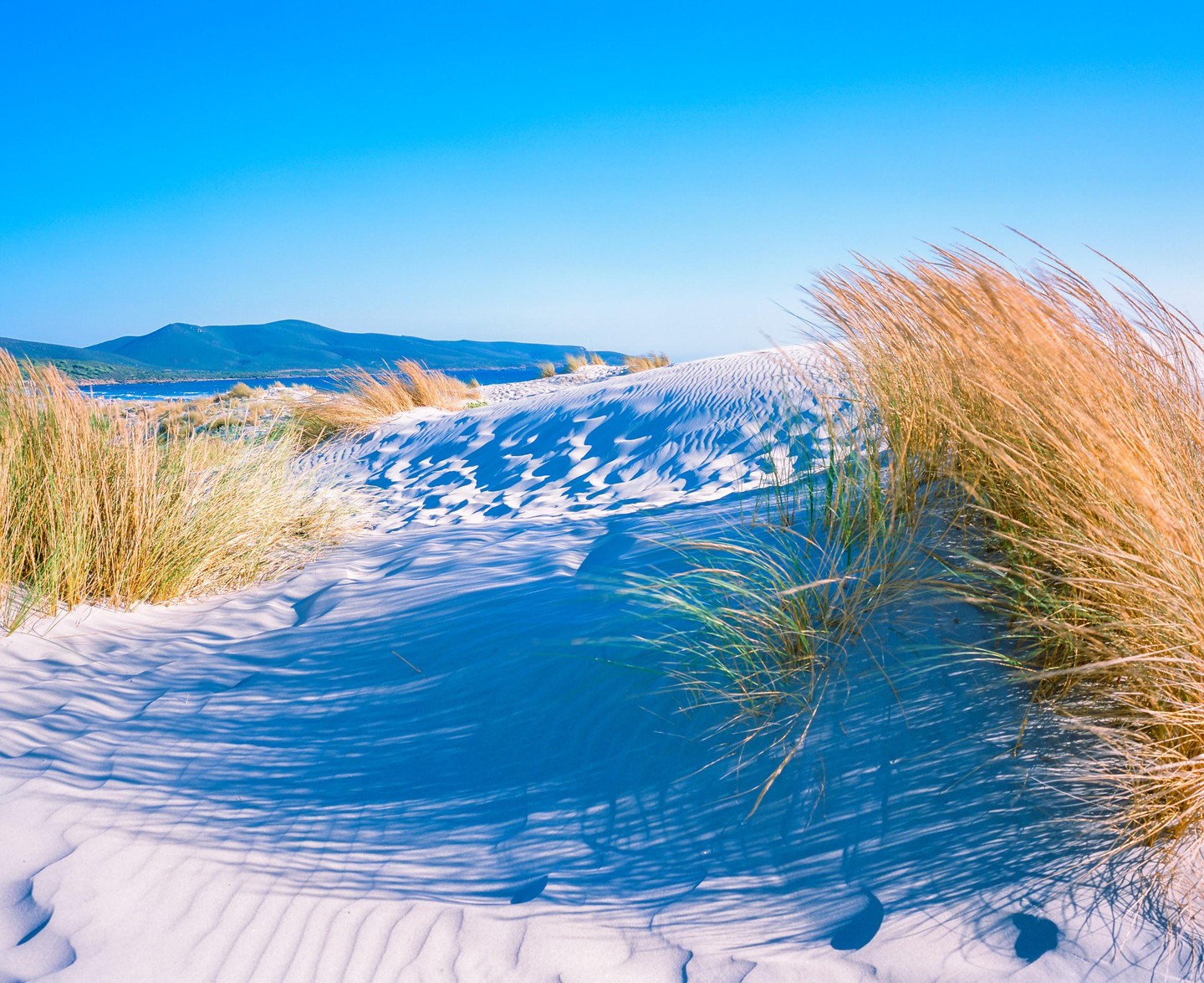 Tall grass grows on white sand dunes with a body of water and mountains in the distance under a clear blue sky.