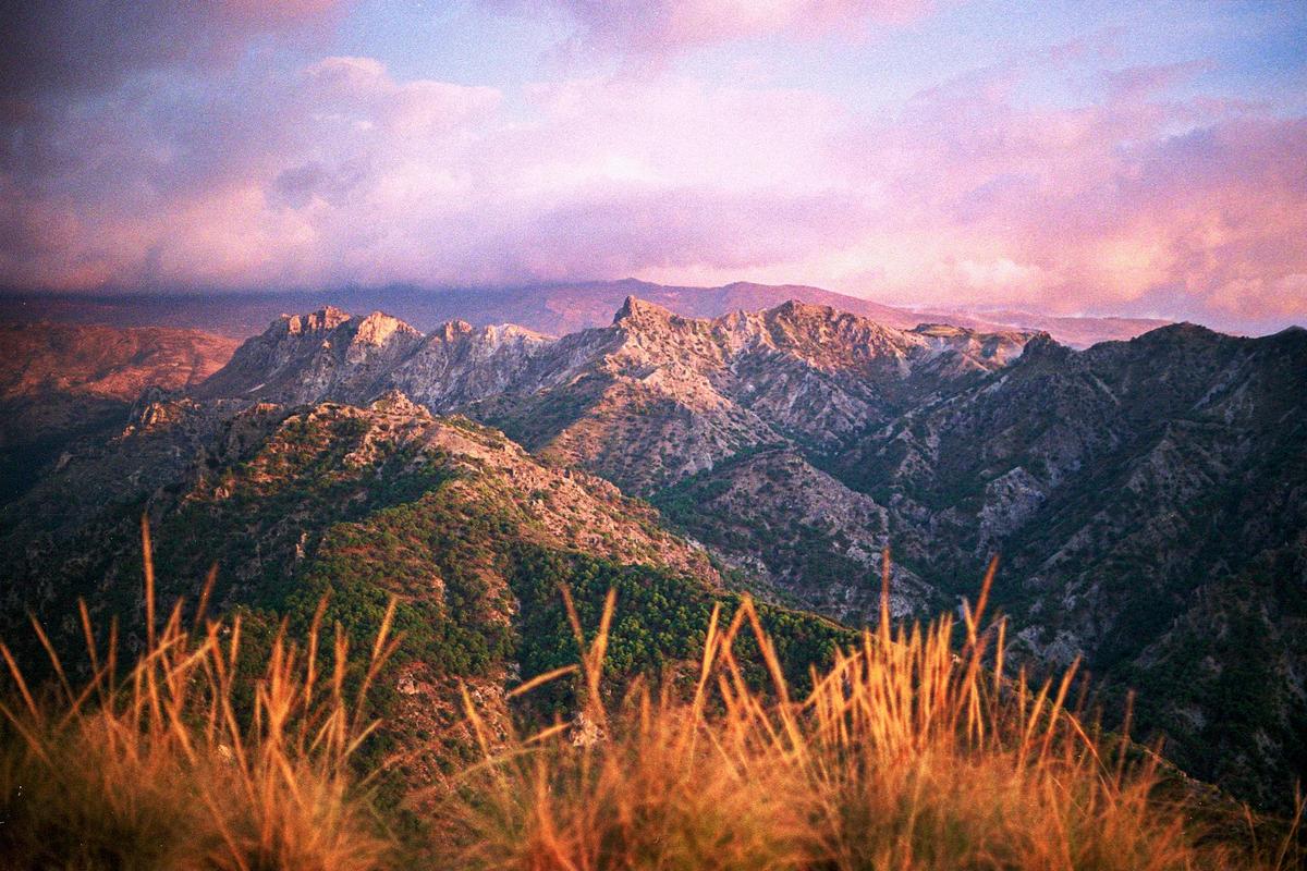Golden grass in the foreground frames a mountain range under a dramatic pink and purple sky.