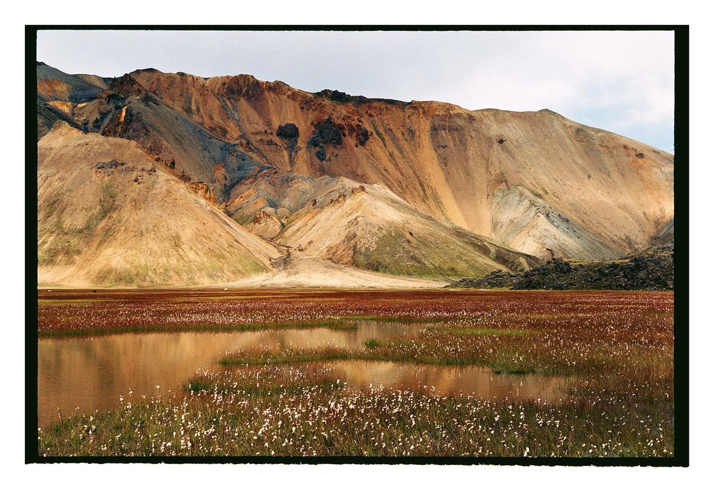 A body of water with white flowers and red foliage in the foreground reflects a large, colorful mountain range under a bright sky.