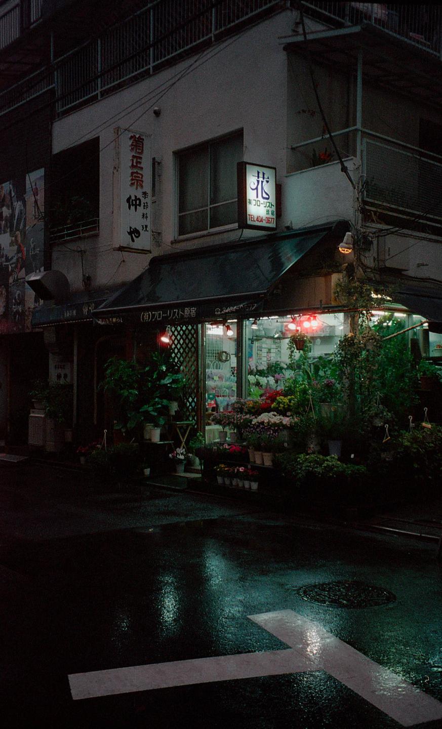 A flower shop with an illuminated sign and many plants and flowers is visible from a wet street at night.