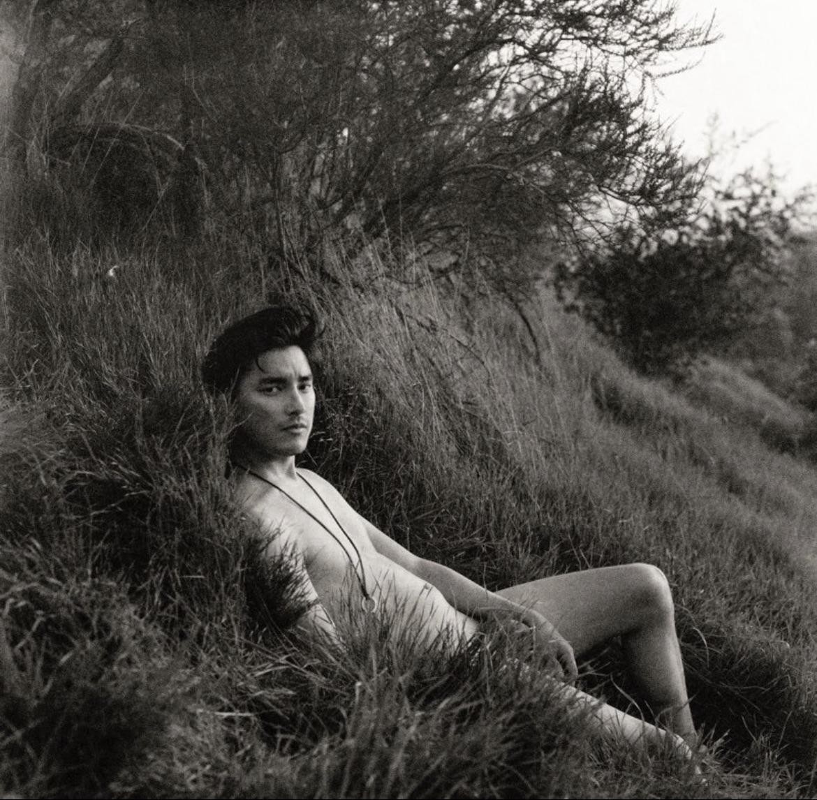 A man reclines in tall grass under a tree.